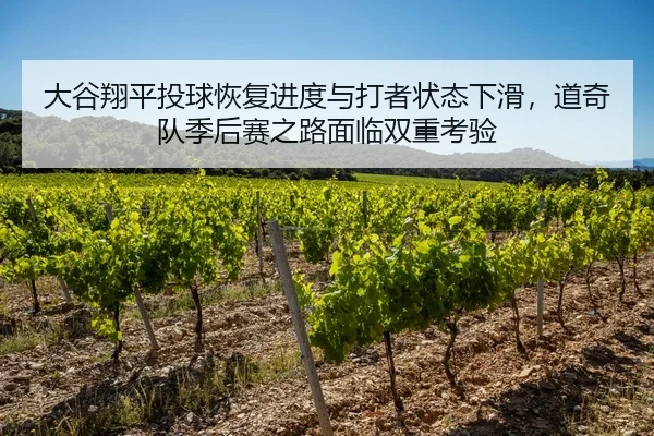 大谷翔平投球恢复进度与打者状态下滑，道奇队季后赛之路面临双重考验
