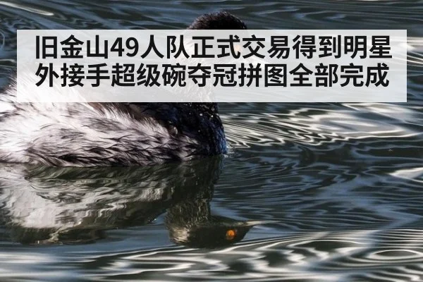 旧金山49人队正式交易得到明星外接手超级碗夺冠拼图全部完成